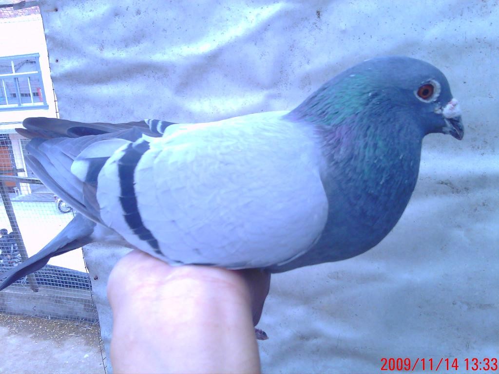 09�Ĺھ�֮��