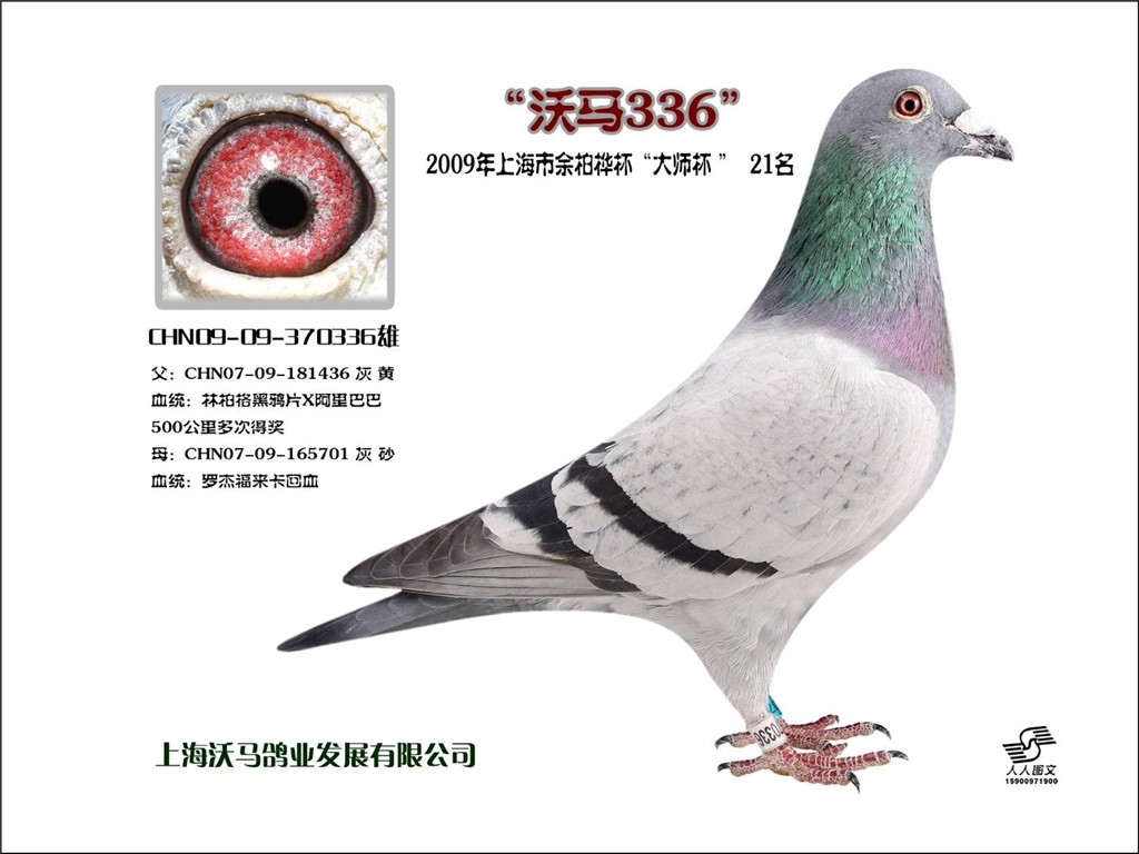 2009年上海市余柏桦杯大师杯21名
