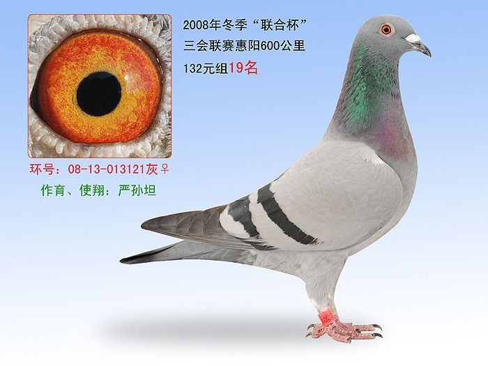 08�궬������19��