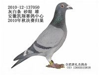 2010�꿭�蹫���