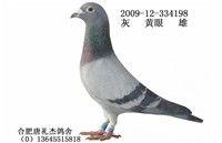 �ƽ�Ѫͳ��Ѫ�ָ�