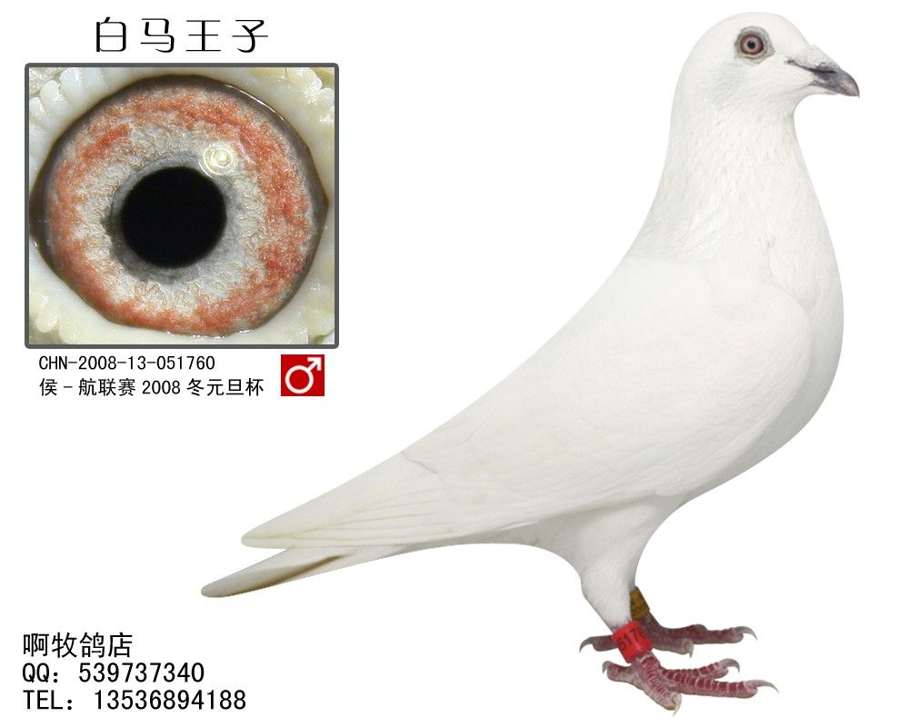 Ÿ̳ ̶̬  :ѶչʾƷϢ