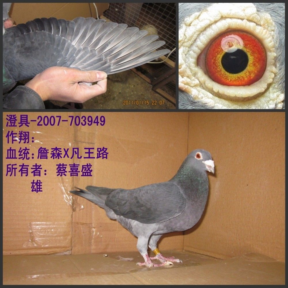 必须署上作者的名字,同时注明