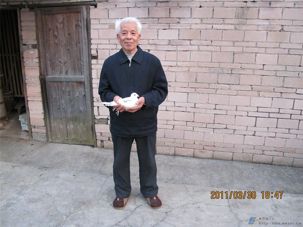 刚毅挚着老军人,恩施养鸽第一人_日志_魁星