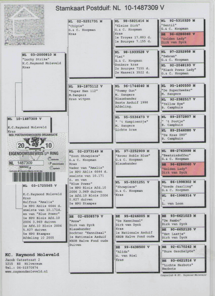原文血统书 原文血统书