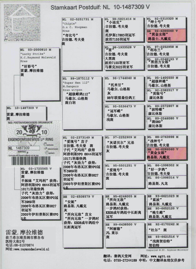 中文参照,以原文为准 中文参照,以原文为准