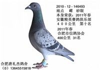 2011�갲�վ�Ӣ������ֲ�400���� ʮ��