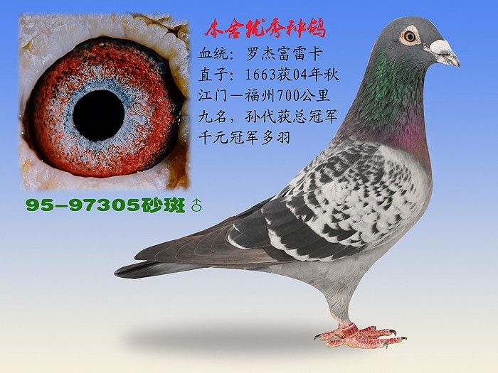 ���޽ܸ��׿���97350