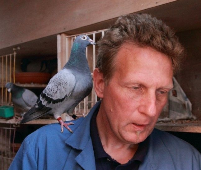 PIPA龙驹凤雏拍卖会(第8期)-班尼.史蒂文与