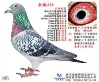 11�λ������ж̾���