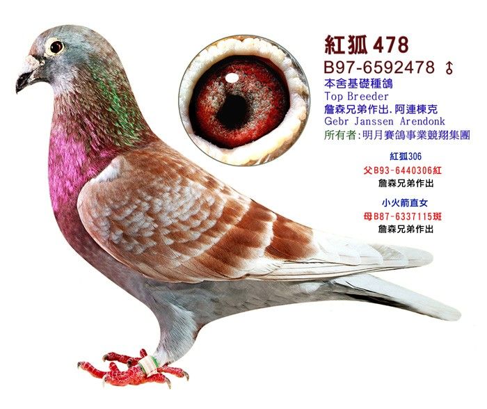 478