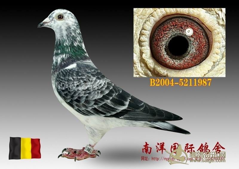 小弗朗斯(吐尼尔原舍)