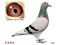 ��Ӯ�ױǺ�