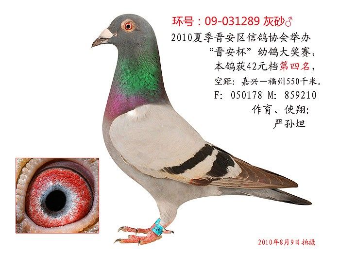 10�ļ�550ǧ������