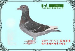 ãǱ09ϷǾͬѪͳ