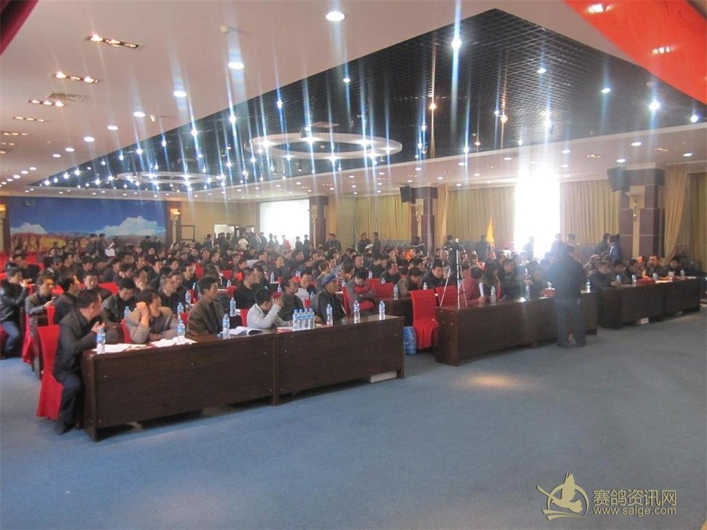 甘肃白银嘉珉公棚拍卖会现场图_公棚动态_甘肃白银嘉珉赛鸽公棚 - 赛鸽资讯网