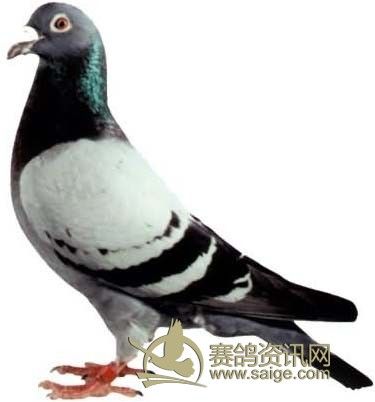 ���þ�У��