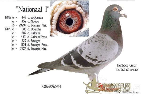 ����һ��