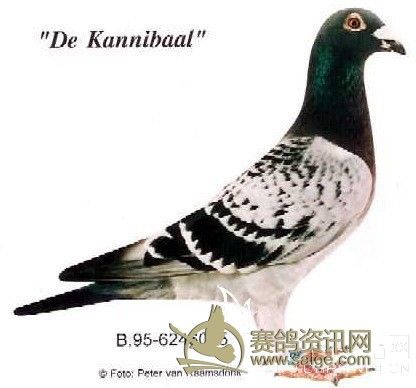 �����޵�