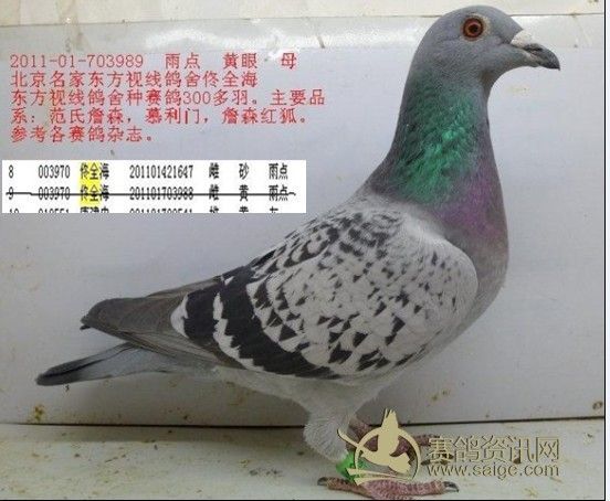 必须署上作者的名字,同时注明