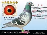 2011���＾��ƽ�����������ϻ�500�����㻷��32��