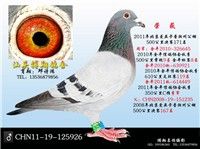 ���ݰ��ǿ��չ���171��