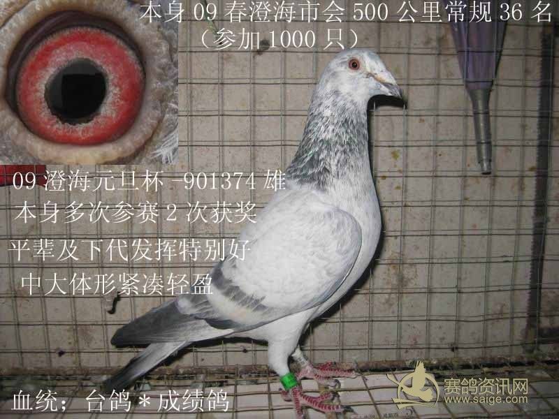 θ뻨ɼ