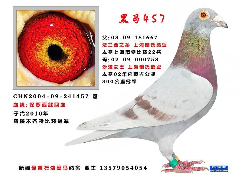 保罗西翁