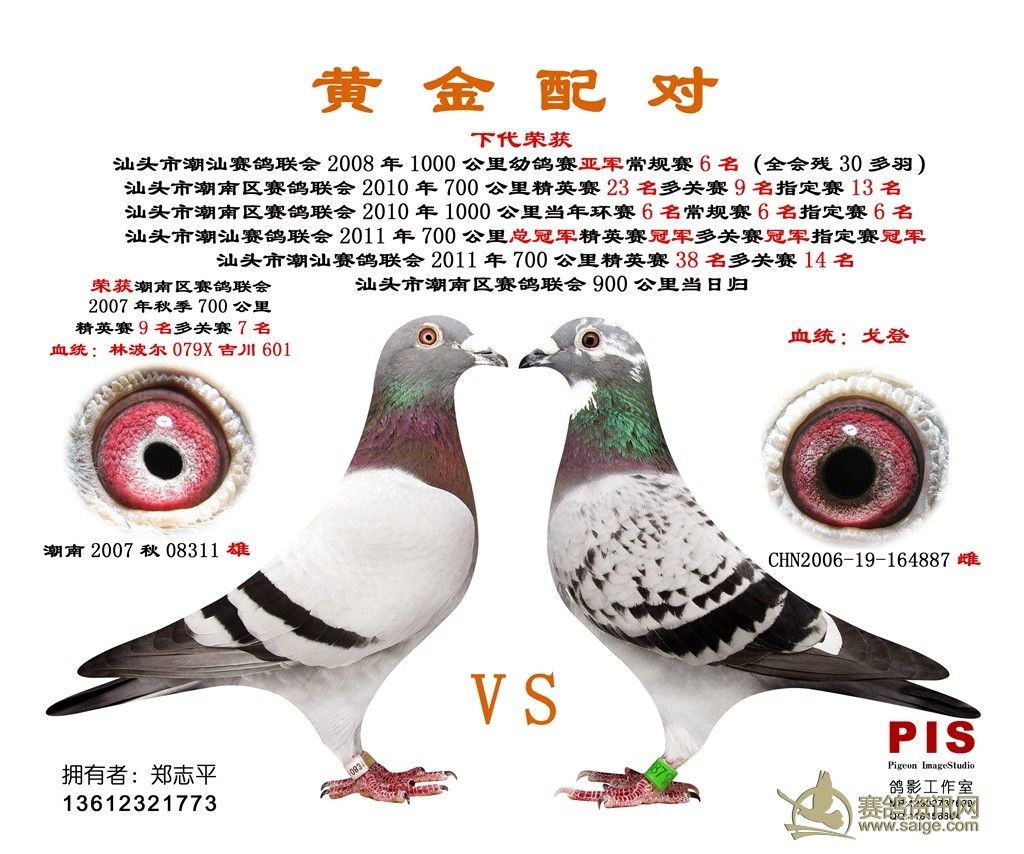 东盛配对