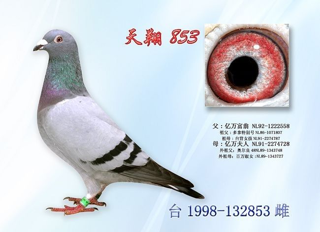 ����853