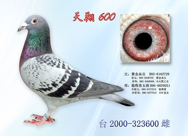 ����600
