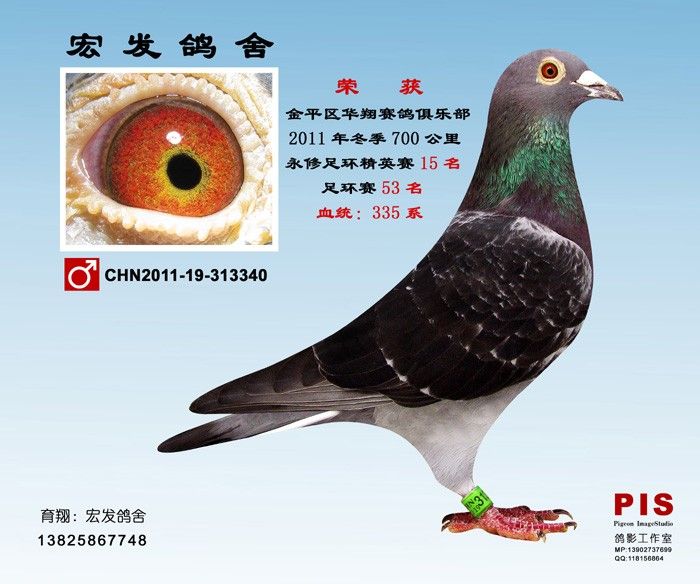CHN2011-19-313340��