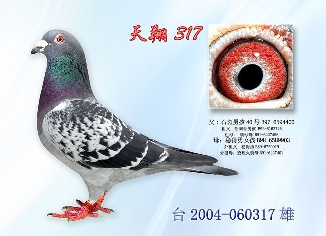 ����317