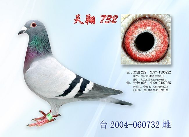 ����732