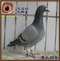 ������ë�ŴƸ�