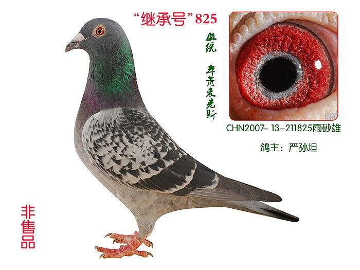 ���̳кš�825