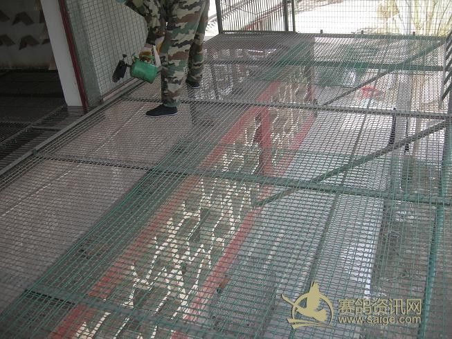 ɹ�������л�����ɱ��