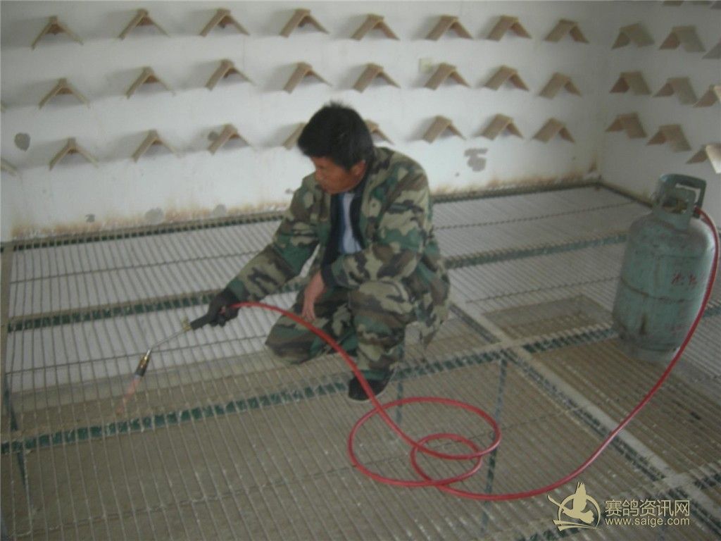 ����������л�����ɱ��