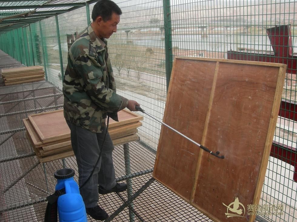 ʳ�̽�������