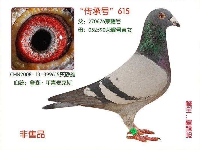 �����кš�615