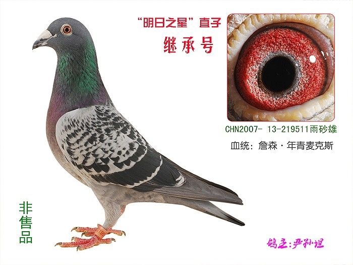 ������֮�ǡ�ֱ��