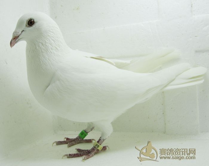 华虹半导体跌逾6%暂三连阴 失守20天线