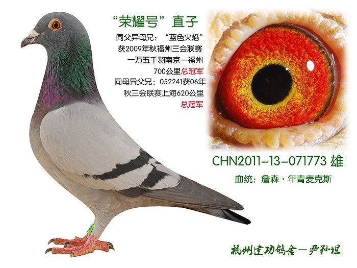 ˫�ھ�ƽ��