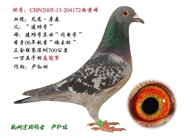 �ܹھ�ֱŮ172