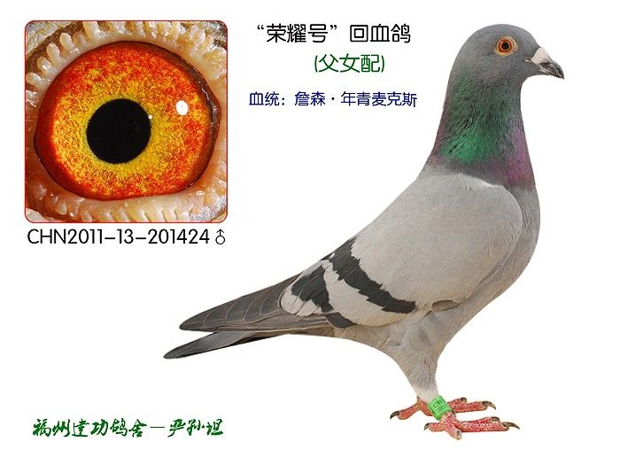 ����ҫ�š���Ѫ��424