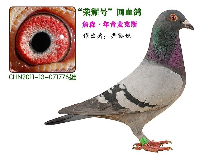 ����ҫ�š���Ѫ��776