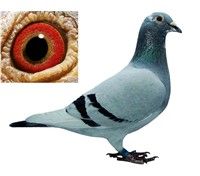 �Ұ���