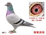 �����䷲��