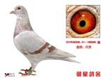 ��ղɭ�䷲�����䷲��