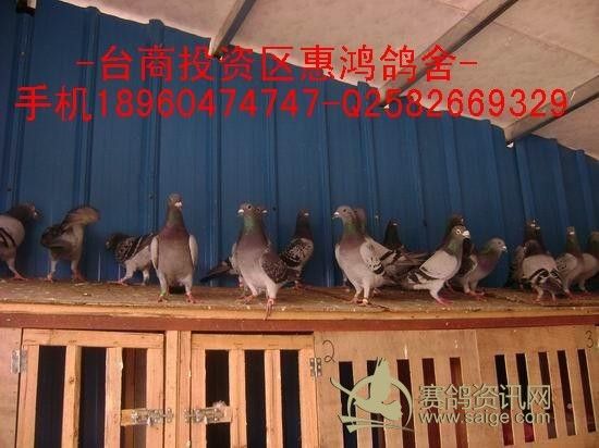 ˴2000꿪ʼڣϸ±һ֣QQ2582669329